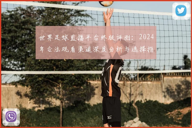 世界足球直播平台终极评测:2024年合法观看渠道深度分析与选择指南_20260609201545